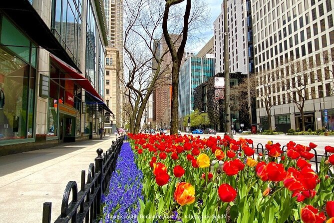 Welcome to Chicago: Private Half-Day Tour With 360 Observation Deck - Reviews