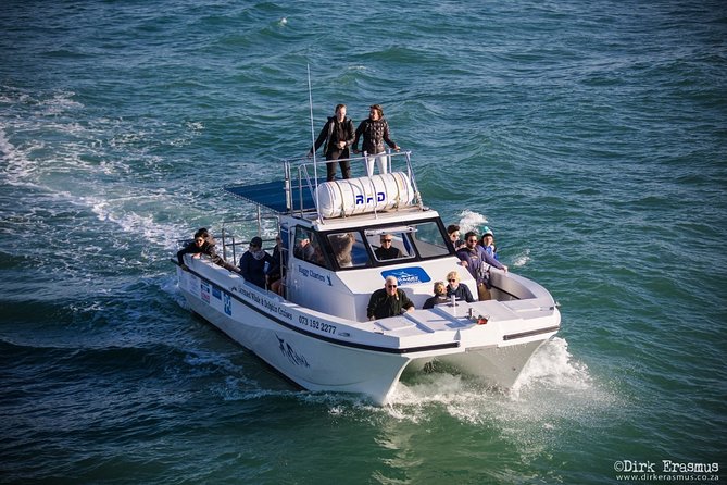 Whale, Dolphin & Penguin Island Cruise - Cruise Schedule and Duration