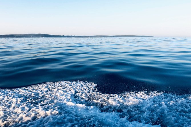 Whale Watching Tour in Hermanus With Hotel Pickup - Cancellation Policy and Refunds