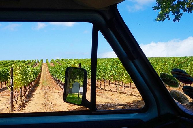 Wine Beer and Biltong Safari - Stellenbosch - Location