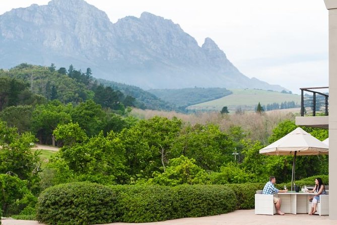 Wine-Tasting and Whale-Watching Tour From Cape Town - Tour Highlights