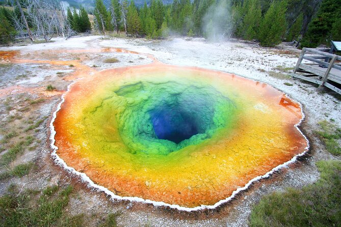 Yellowstone & Grand Teton National Parks Private Winter Tour 5-Day - Reviews