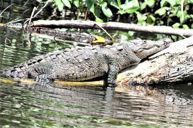 YS Falls and Black River Safari Guided Tour From Montego Bay and Grand Palladium - Cancellation Policy