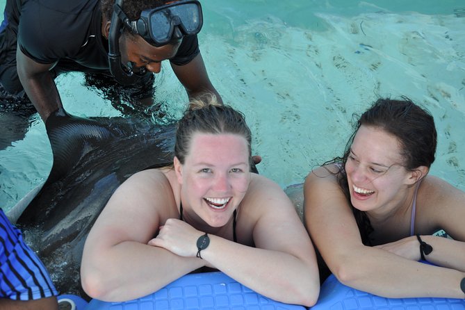 Zipline Adventure, Snorkeling Cruise, Sharks & Rays Encounter From Punta Cana - Catamaran Snorkeling Adventure