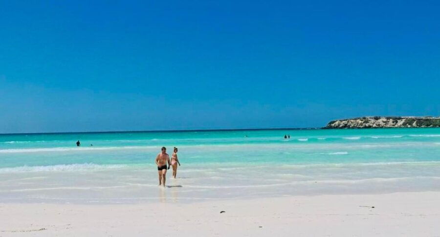 4x4 Adventure/Swim at Wedge Island & Stargazing at Pinnacles - Good To Know