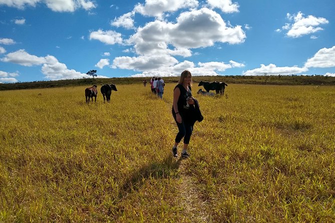 4x4 Jeep Tours to the Best Waterfalls in Carrancas-Mg