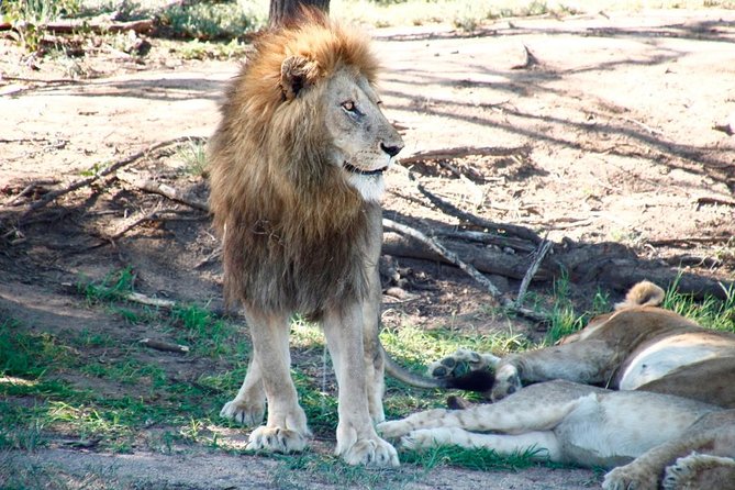 5 Day 4 Night Mpumalanga Kruger Safari Tour