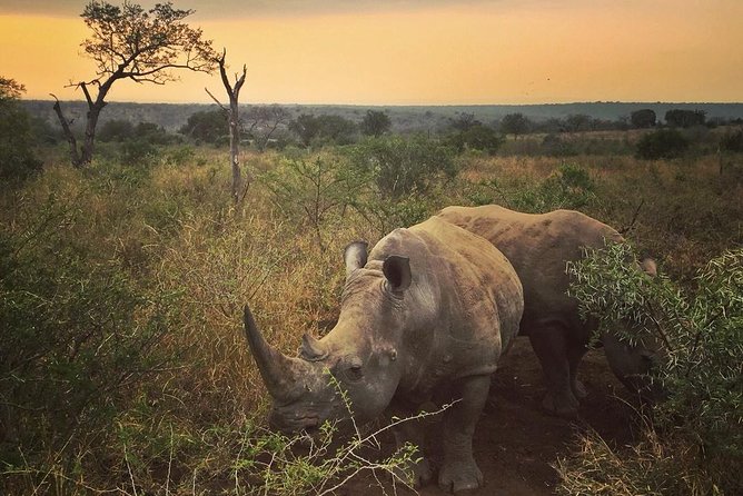 5 Day Kruger National Park and Panorama Route Safari