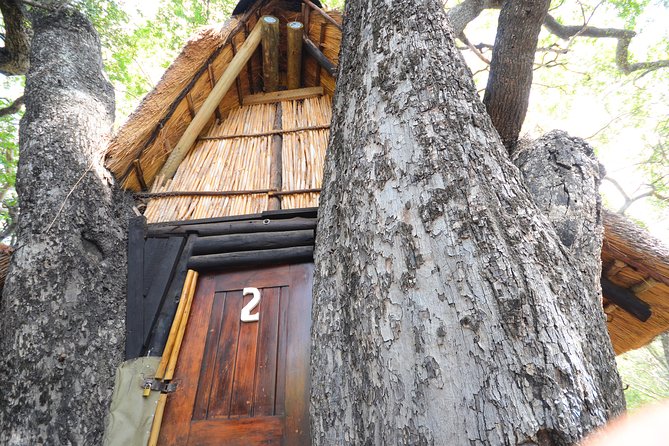 5 Day Lodge and Treehouse Kruger National Park Safari - Safari Overview