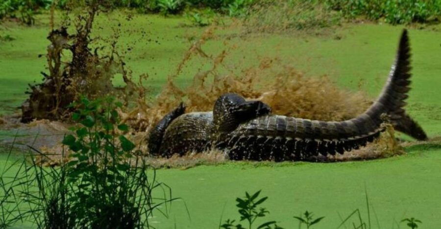 5-Day Nature Wildlife Photography Retreat - Good To Know