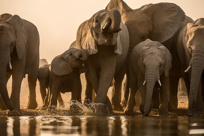 5-Day Safari Extravaganza At Madikwe River Lodge