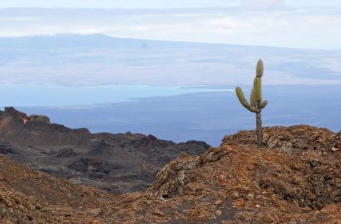 5-Day Small Group Galapagos Multisport: Biking, Hiking, and Snorkeling - Good To Know