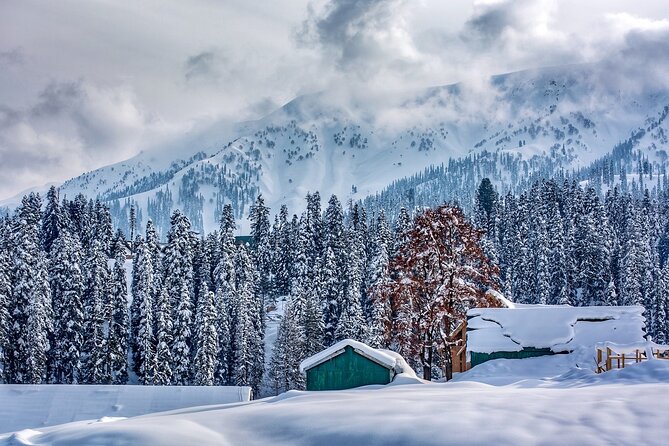 5 Days and 4 Nights Private Tour of Kashmir - Good To Know