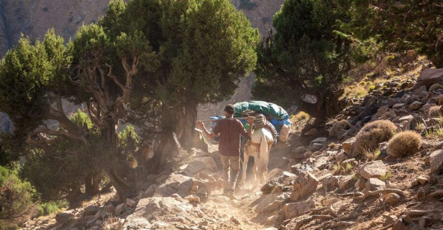 5 Days Combined Trip Toubkal & Sahara Desert - Good To Know