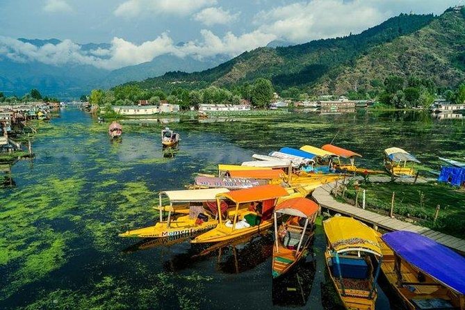 5-Days Kashmir Tour Includes Accommodation and Private Transportation - Good To Know
