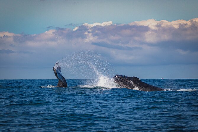 5 Days Private Garden Route - Good To Know