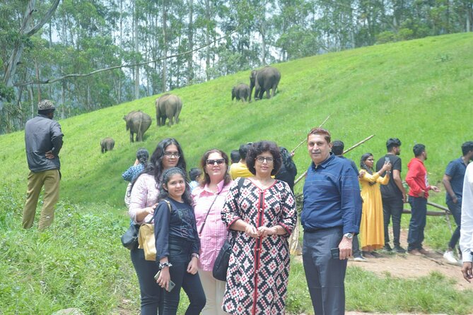 5-Days Private Kerala Tour With Sightseeing Tickets