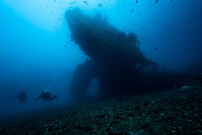 5 Fun Dives in Tulamben (For Certified Divers) - Discover Famous Diving Sites - Good To Know