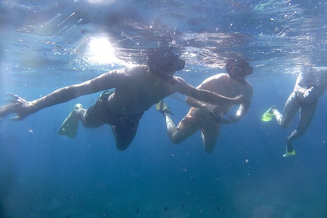 5 Hours Bali Blue Lagoon Snorkeling Tour Including Tanjung Jepun - Good To Know