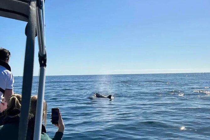 5 Hours Tour in Ria Formosa