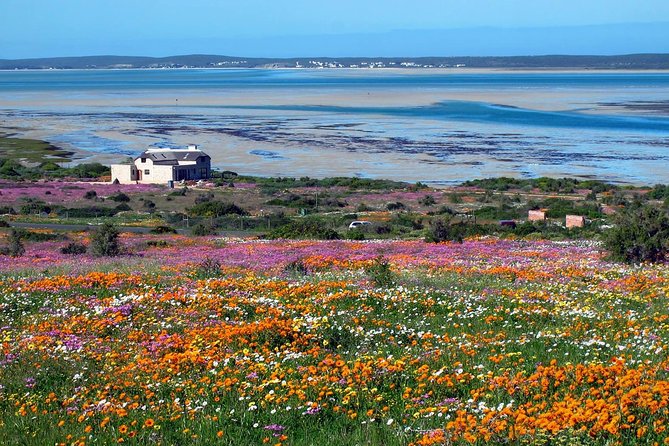 1 Day West Coast Wonders Tour With Private Transfers - Cancellation Policy and Refunds