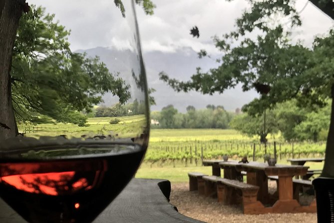 1 Day Wine Lover Wander Connoisseur Tour With Private Transfers - Cancellation Policy and Reviews