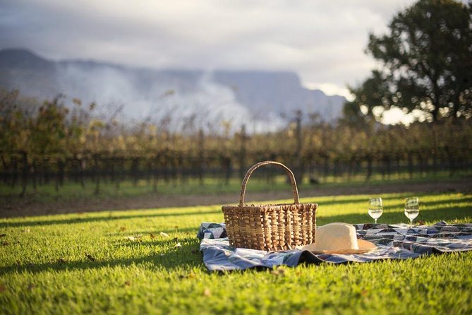 1 Day Winelands Explore of Stellenbosch Franschhoek Paarl Regions - Pre-Planned Private Guided Tour and Memorable Experiences
