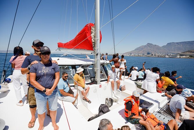 1- Hour Catamaran Cruise Cape Town - Catamaran Features and Amenities