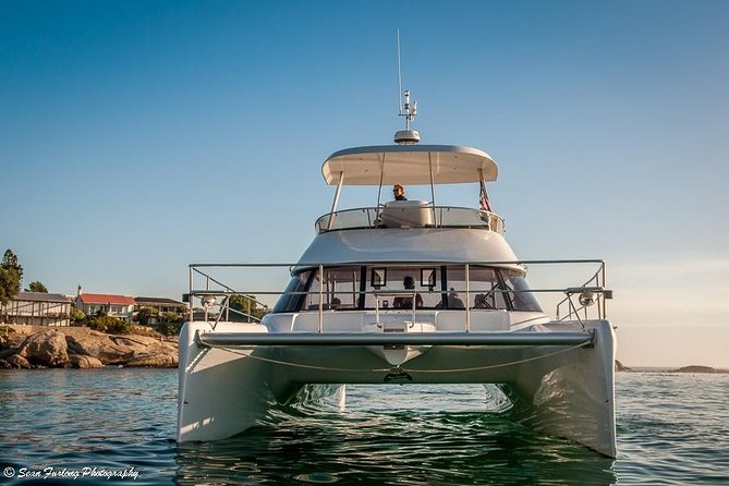 1 Hour Coastal Catamaran Cruise From Cape Town - Cruise Route and Highlights