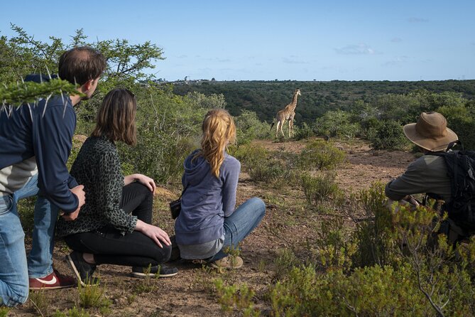 2 Day Addo Elephant Park Safari - Wildlife Sightings