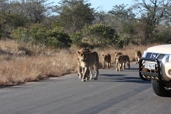 2-Day Safari Tour in Kruger National Park - Common Questions