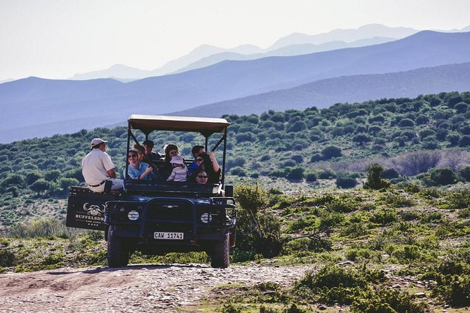 2 Day South African Wildlife of the Western Cape and 4x4 Safari - The Sum Up
