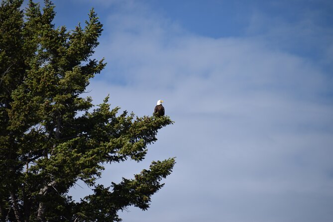 2-Day Yellowstone Tour Lower and Upper Loop Guided Tour - Review 1: Ted_Cs Feedback