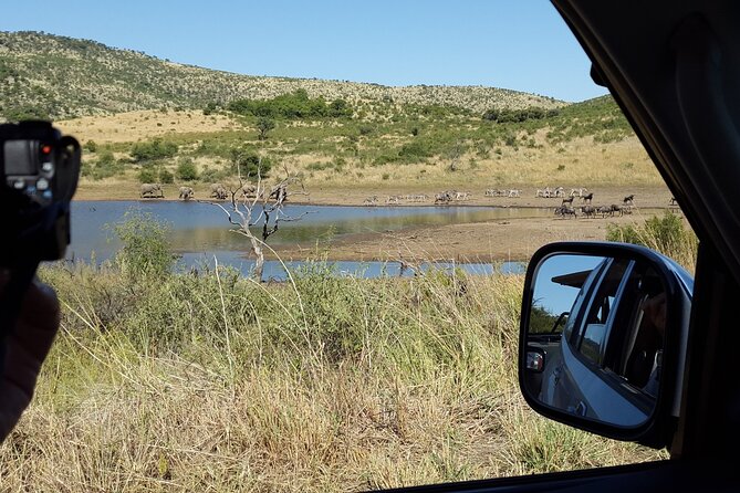 2-Days Pilanesberg Best Chance to View "Big 5" With Private Extended Safari - Convenient Pick-Up Options in Johannesburg and Pretoria