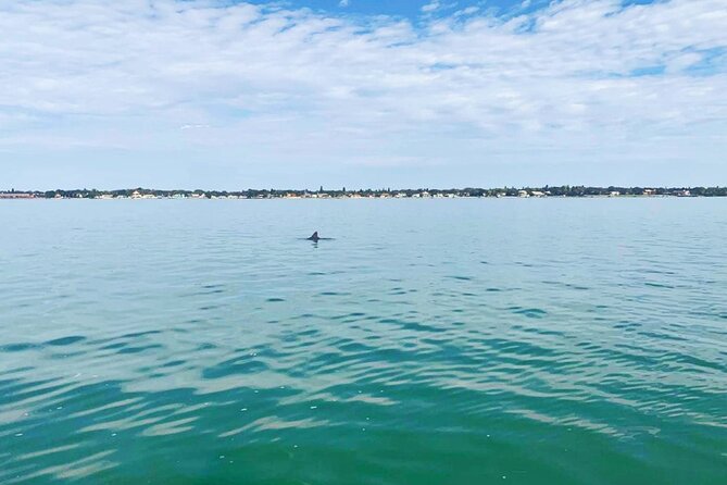 2-Hour Dolphin Watching Tour in Florida - Common Questions