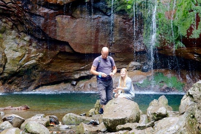 25 Fountains" Walk / Lost In The Beautiful Forest - Questions and Help Center