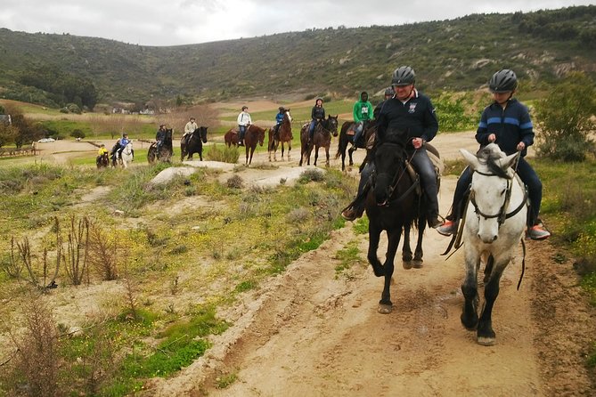 2h – Horse Trail - Cancellation Policy