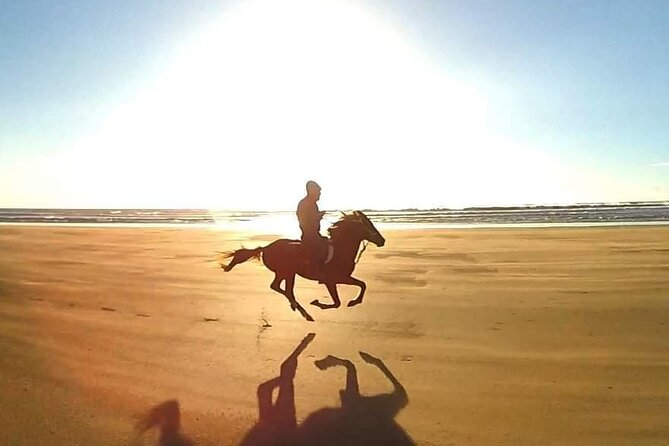 3-hour Horseback Ride Mountain and Beach Morocco - Common Questions