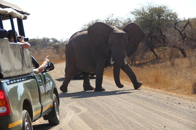 4 Day Classic Kruger National Park Safari - The Sum Up