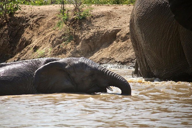 4 Day Greater Kruger Kapama Game Lodge Safari With Panorama Route Journey - The Sum Up
