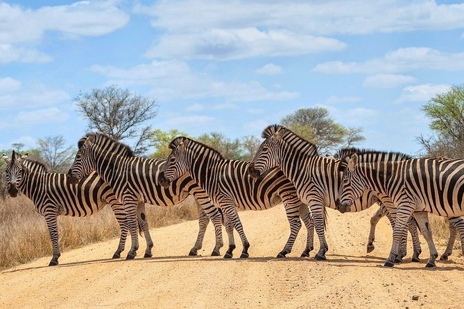 4-Day Kruger National Park & Panorama Route Tented Safari - Tips and Booking Information