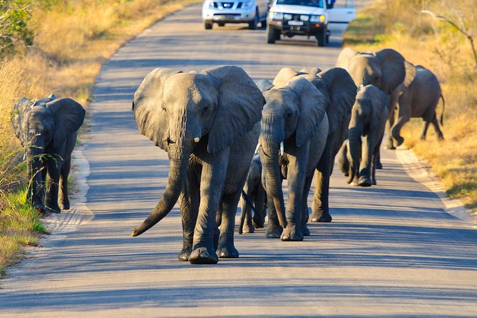 4 Day Private Kruger Under Canvas Safari - Itinerary Overview