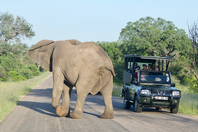5-Day Kruger National Park Safari Including Breakfast and Dinner - Additional Information
