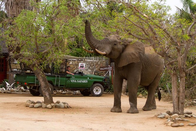 6 Day Classic Kruger National Park Safari From Johannesburg - Common Questions