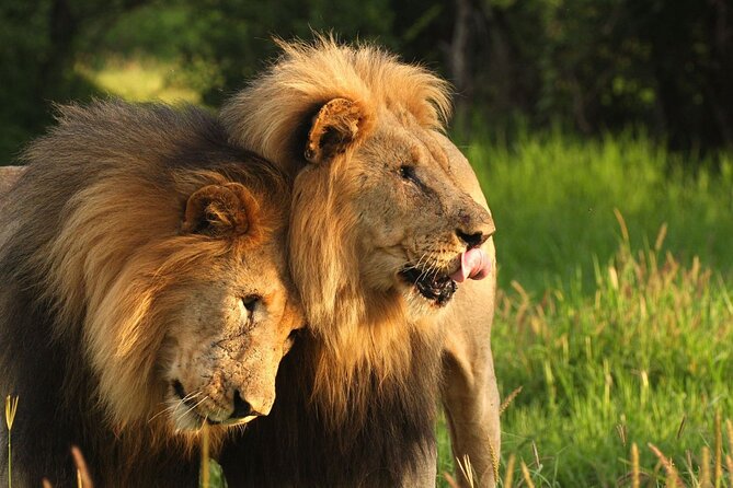 6 Day Garden Route Small Group Tour Fr CapeTown - Departs Mondays - Common Questions