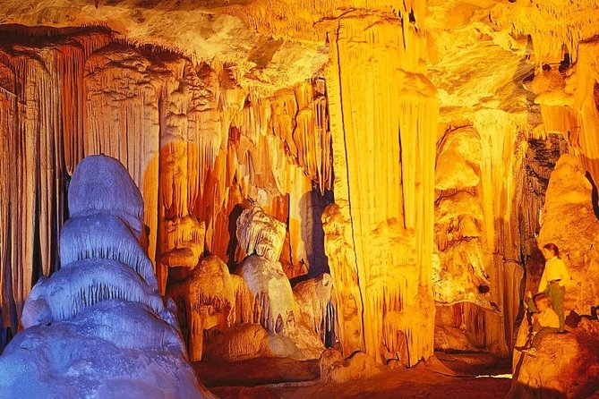 7-day Cape Town, Winelands, Garden Route and Addo National Park - Outdoor Adventures on the Garden Route