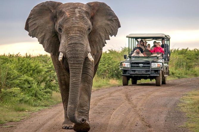 7 Day Garden Route to Addo, Cape Point and Winelands Combo Tour - Important Information