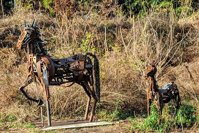A City in a Forest: Private Atlanta Nature Tour - Cancellation Policy and Weather Considerations