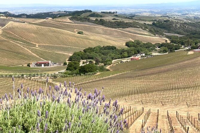 A La La Tour - Private Tour of Californias Central Coast - Directions
