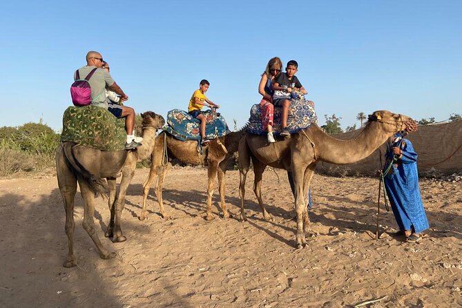 Agadir Sunset Camel Ride With Moroccan Barbecue & Hotel Transfers - Copyright and Terms
